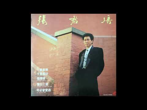 【未CD化】張君培 - 心中想我怎樣 (ATV電視劇《神相李布衣》插曲) (1984)