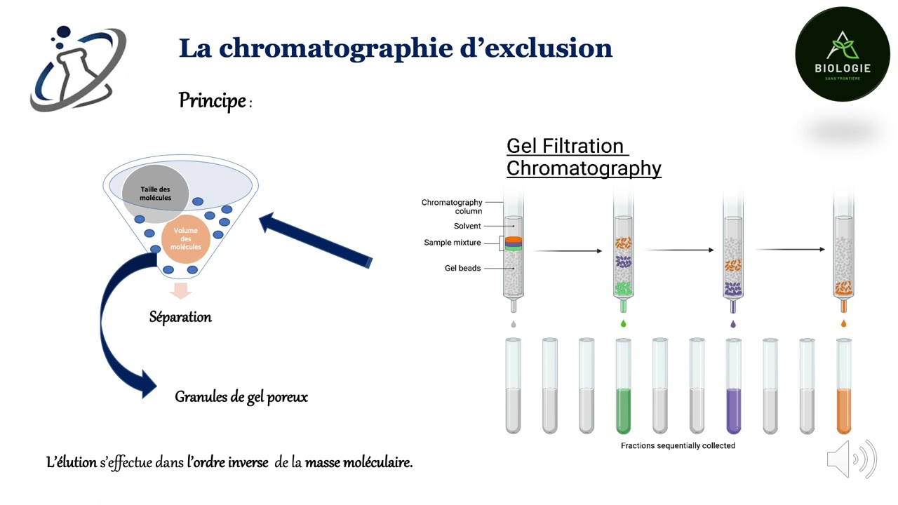La chromatographie d'exclusion