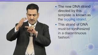 BIO731_Topic043