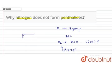 Why nitrogen does not form penthalides?