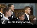 Johann michael bach  halt was du hast  tlzer knabenchor