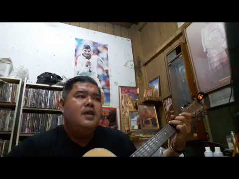 คืนสู่สวรรค์ (cover)น้าแอ๊ดคาราบาว