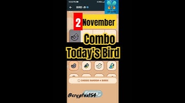 Bird Daily combo 2 November daily combo bird #birds #airdrop #telegram #combo