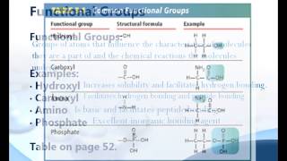 Intro to Macromolecules