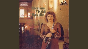 Concerto for Recorder, String Orchestra and Basso Continuo in F major - Largo e cantabile