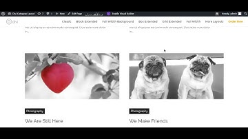 Grid Extended 2 Columns using Divi Blog Extras