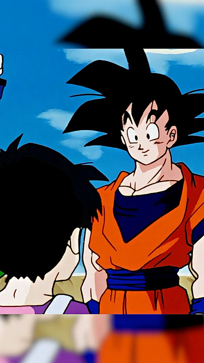 Goku Meets Videl For The First Time!