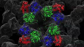 Structural Insights Into The Human Ryr2 N-Terminal Region Involved In Cardiac Arrhythmias. 1