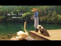 【田舎暮らしvlog】古民家森の生活25年ルーティーン|デイキャンプほうば寿司を作って🍱白鳥の湖へ🦢(新緑編)|もふもふ犬の新緑散歩🐕
