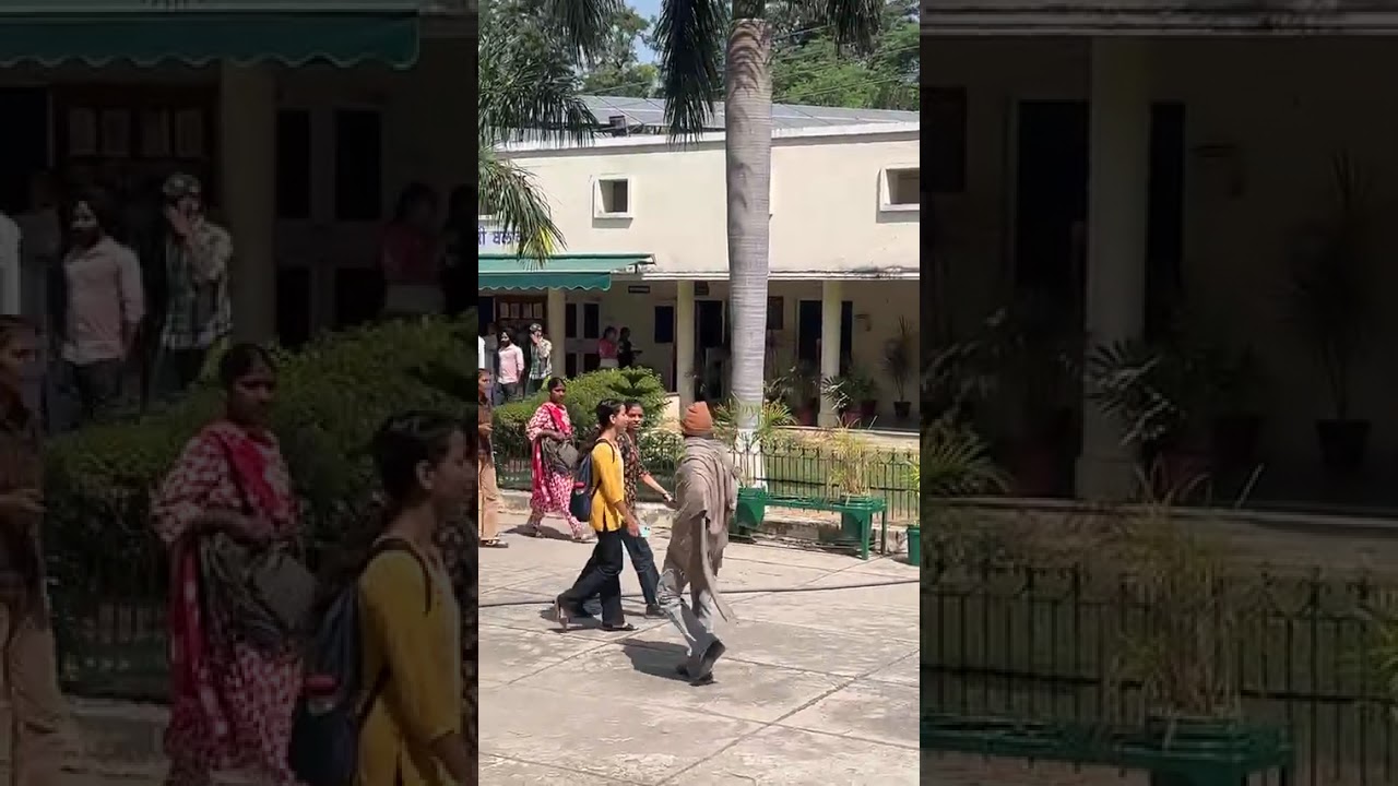 Govt mohindra college ale chobbar |🌞😅