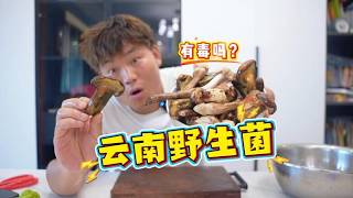 花费400元购入云南野生菌烹制火锅，究竟是否值得一试？