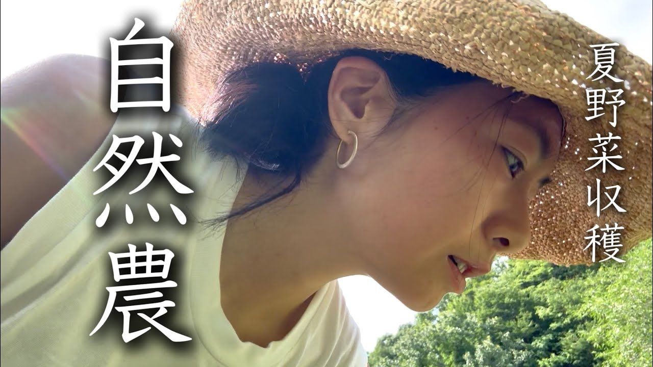 兵庫へ戻る・自然農の夏野菜収穫と今後の話