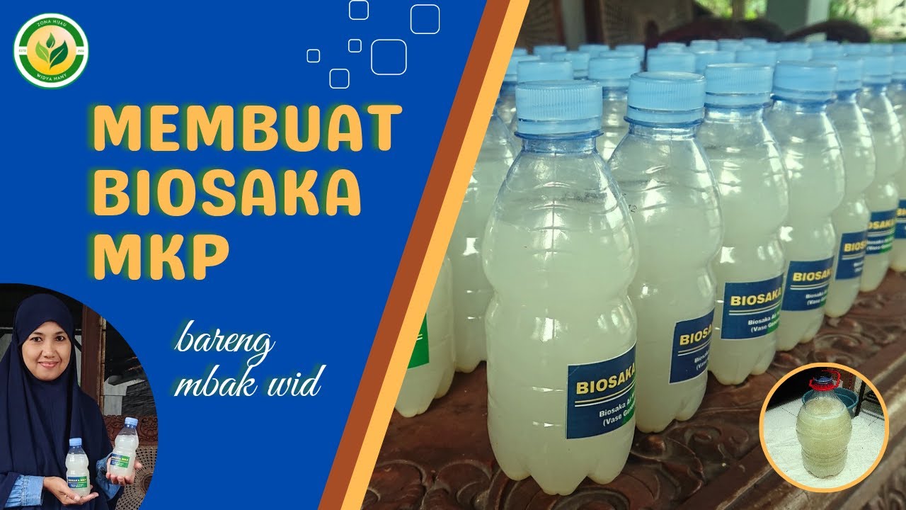 Cara Membuat BIOSAKA MKP, Biosaka Air Kelapa Untuk Vase Generatif #biosaka #ansar