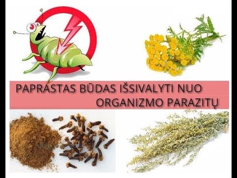 KOKIE maisto produktai VALO ORGANIZMĄ nuo PARAZITŲ?