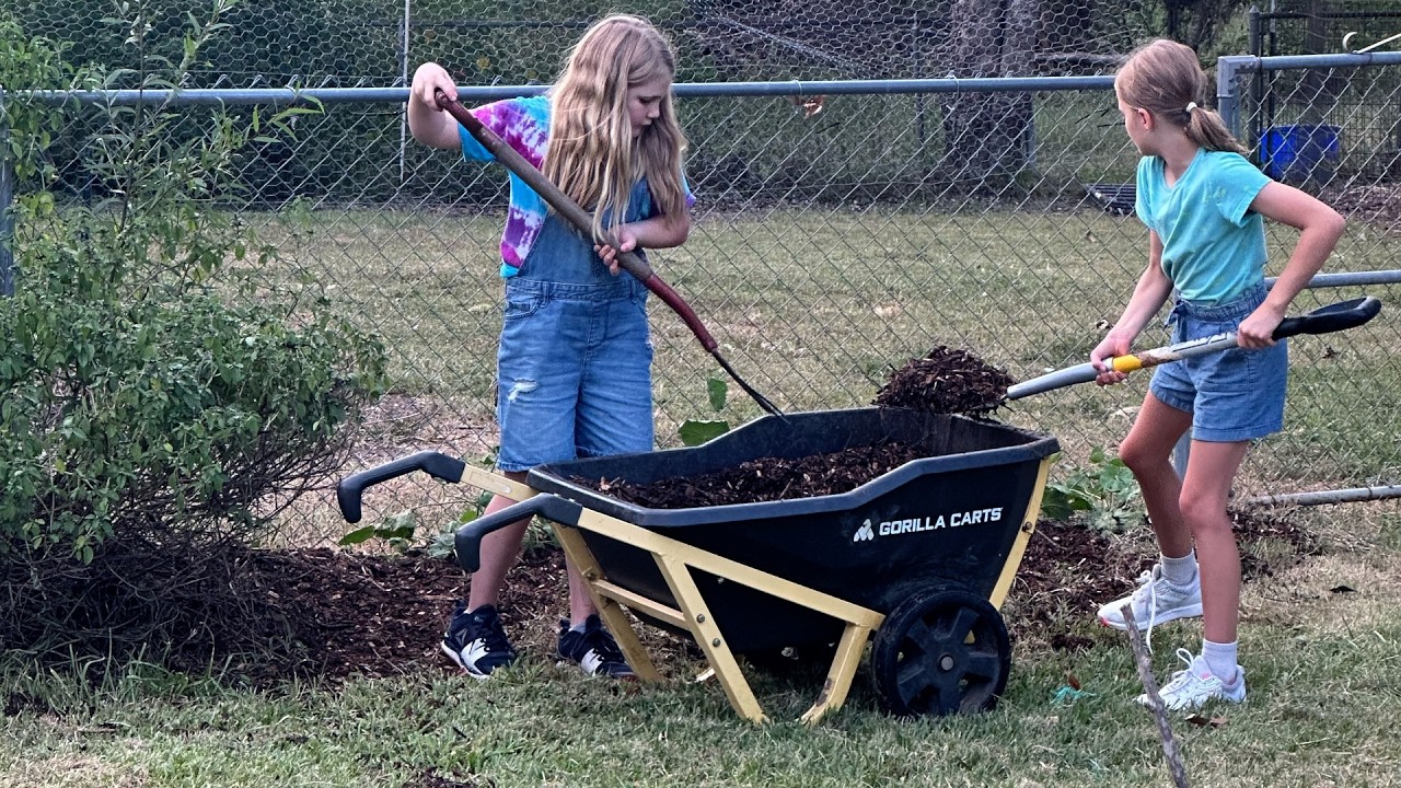 Друзья, готовые помочь в трудную минуту