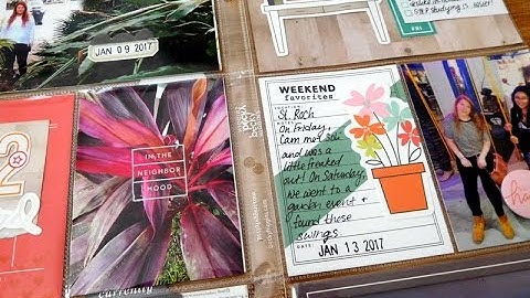 Project Life Process 2017: Week 2