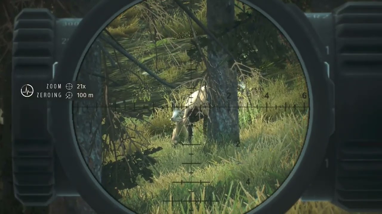 Way of the Hunter • Wild Europe Release Trailer • PS5 XSX PC