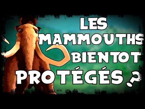 Vidéo: Les Mammouths Pourraient Bientôt Devenir Une Espèce Protégée - Vue Alternative