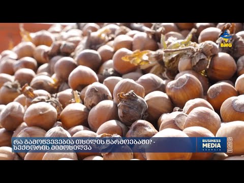 რა გამოწვევებია თხილის წარმოებაში? - სექტორის მიმოხილვა