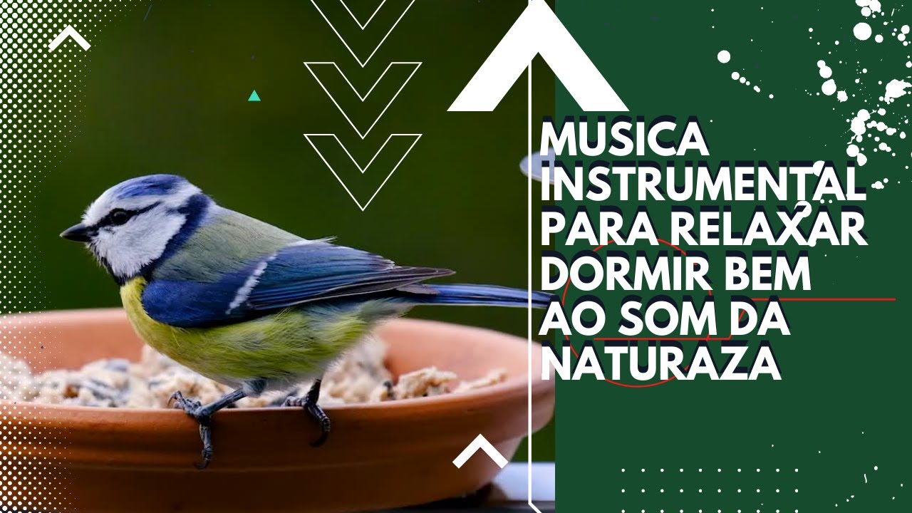 musica instrumental para relaxar dormir bem ao som da naturaza - YouTube