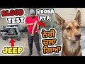 Jeep da kam kithe tak poncha te anpa Neri(dog) chla gya last video Neri di | punjabi vlogs