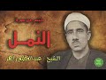 الشيخ / عبدالعظيم زاهر / ماتيسر من سورة النمل