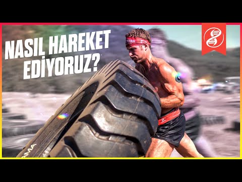 Video: H+ zar boyunca nasıl hareket eder?