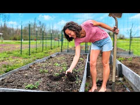 This One Thing Changed Everything For Our Garden