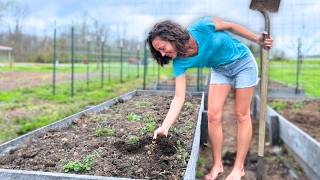 Celebrity This ONE THING Changed EVERYTHING for Our Garden Wealth