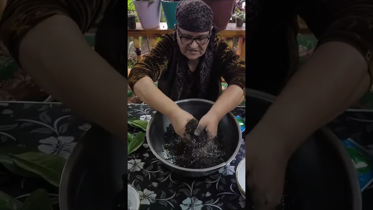 🌱 Замиокулькас экишнинг энг осон усули | 5 дакикада(🌱 The easiest way to plant Zamioculcas