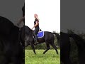 هاني شاكر أمرك وأمري 
