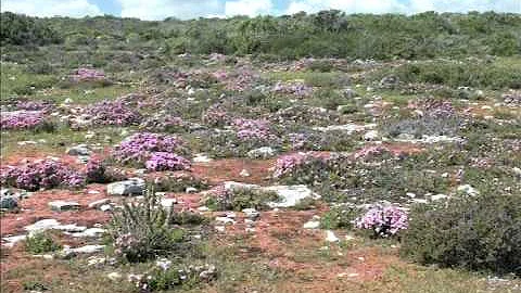 Travel Blogger Dawn Jorgensen chats about SA Parks