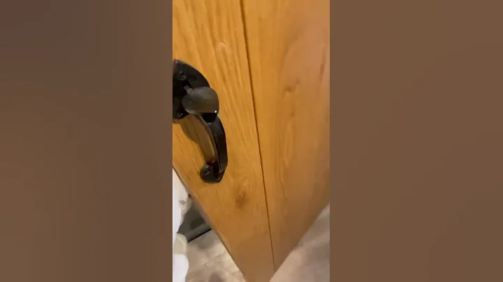 She does this every time I have a shower #shorts |...