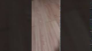 IMG 0816