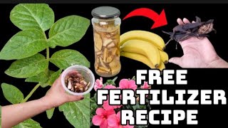 How To Make Liquid Compost | IN 10 DAYS | How to make compost using Banana peels
