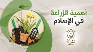 أهمية الزراعة في الاسلام