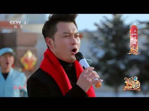 [2018东西南北贺新春]歌曲《胜利的光芒》 演唱：张大伟 | CCTV综艺