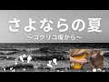 さよならの夏〜コクリコ坂から〜 手嶌葵 /[summer of goodby]From Up On Poppy Hill aoi teshima マンドリン3重奏 Mandolin  cover