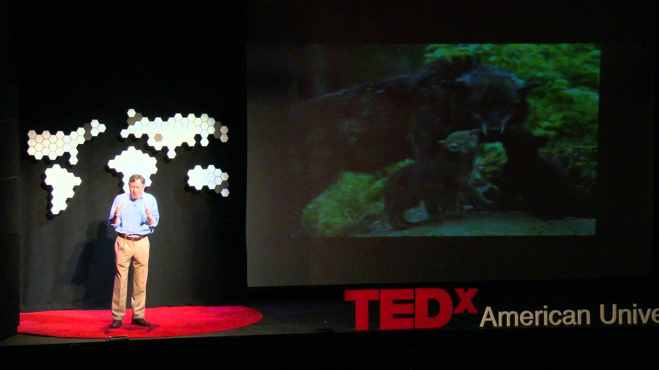 Confessions of a Wildlife Filmmaker | Chris Palmer | TEDxAmericanUniversity