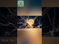 #cbd #endocannabinoidsystem #news #youtubeshorts #2026
