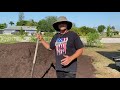 Comment amliorer votre sol indigne pour le jardinage  cultiver le vtre  permaculture en floride  jardin urbain