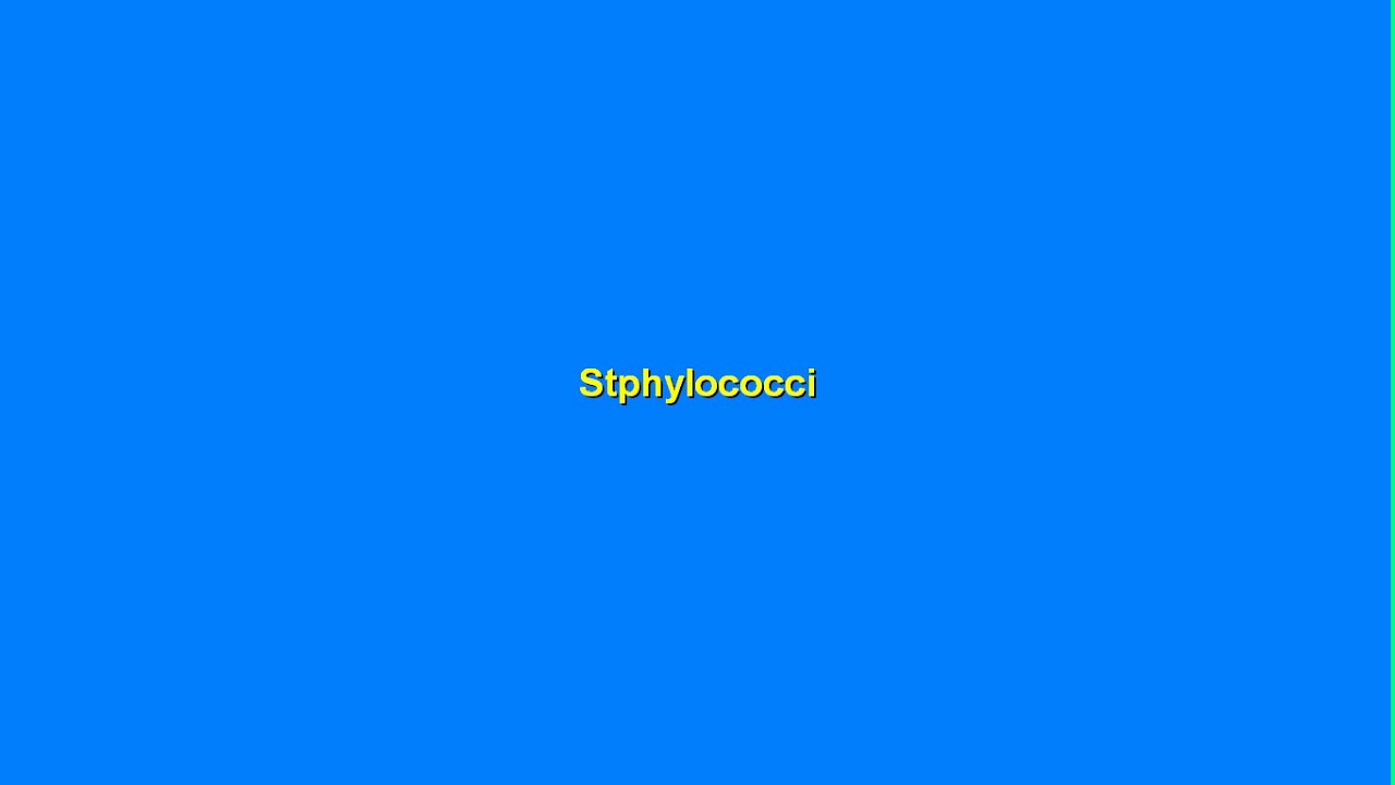 Section 1: Staphylococci