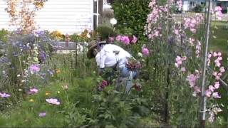 Mimi's Garden-2010.mpg