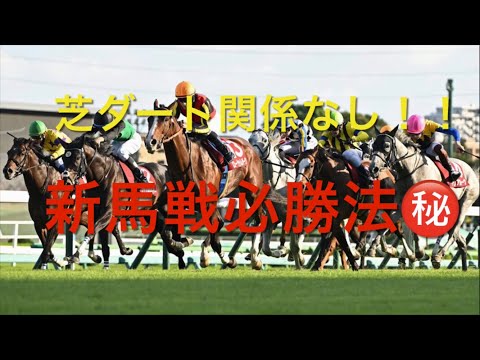 馬券単勝 ポルトフィーノ 新馬戦 現地馬券】ドウデュース 新馬戦 現地単勝馬券