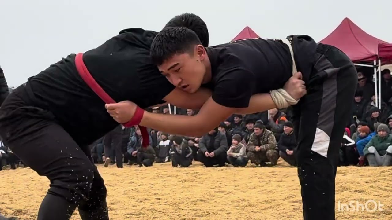 14 декабря 2025 г.