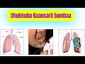Mallattoolee Fi Sababoota Dhukkuba Kaansarii Sombaa Lung Cancer Disease 