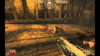 Painkiller - Trauma Mode - 2-5 Town