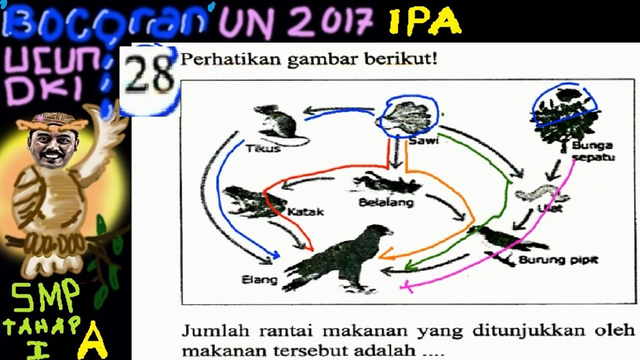 Un Smp 2017 Ipa Bocoran Prediksi Ucun Dki Tahap I A No 28 Jaring
