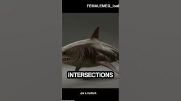 Bringing the Megalodon to Life with Ziva VFX