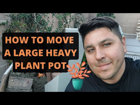 How To Move A Large Heavy Plant Pot